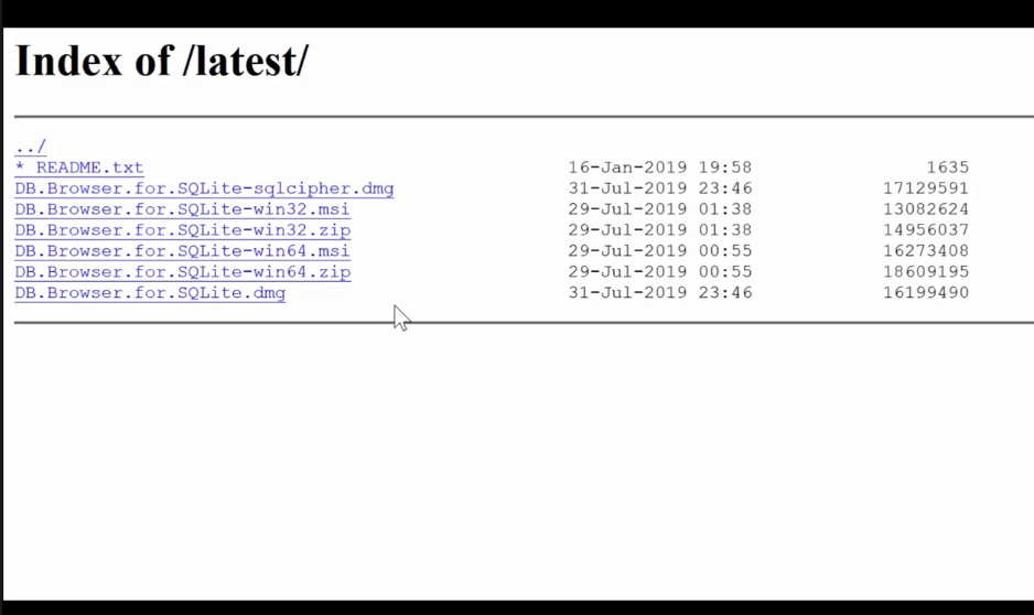 DB browser for SQLite - win64 and win32 files