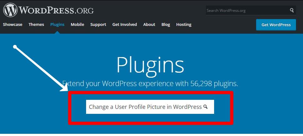 wordpress plugin directory