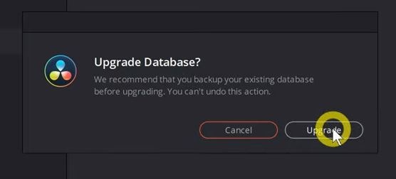 davinci resolve 17 upgrade database