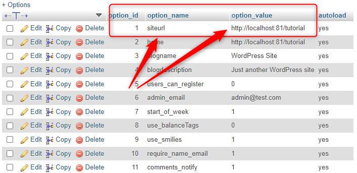 siteurl in wp_options table WordPress