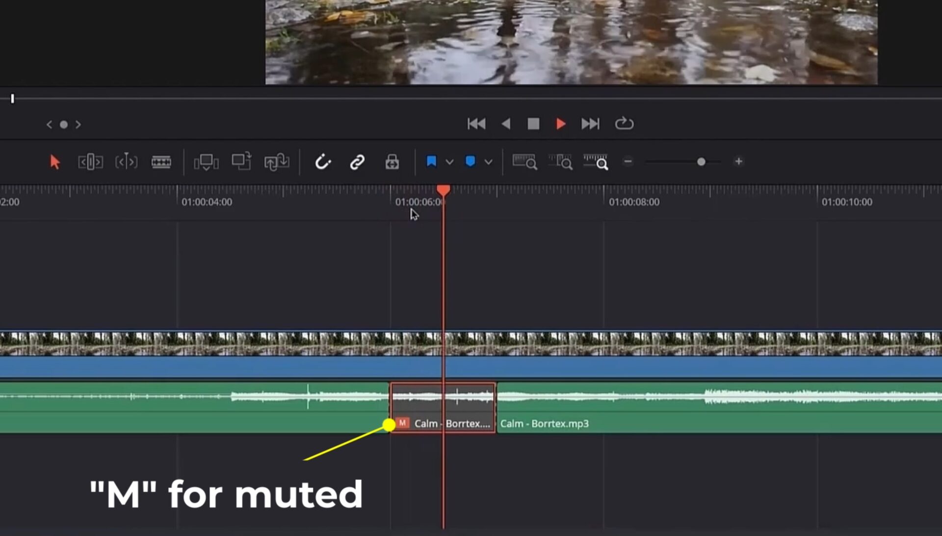 2 Ways to MUTE Part of any AUDIO in DaVinci Resolve